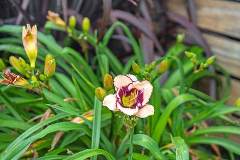 Photo of property in 37 Shoemaker Road, Waipu, 0510