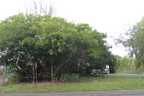 Photo of property in 187 Grandview Road, Nawton, Hamilton, 3200