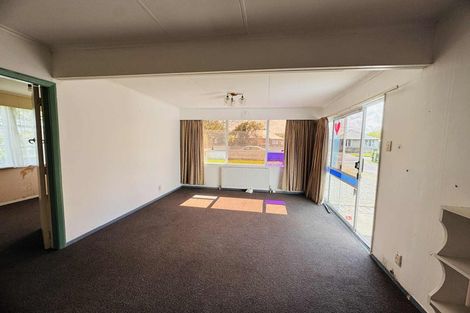 Photo of property in 48 Tweed Street, Roslyn, Palmerston North, 4414