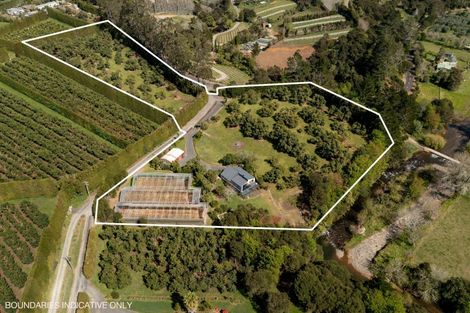 Photo of property in 286a Woodland Road, Tahawai, Katikati, 3170