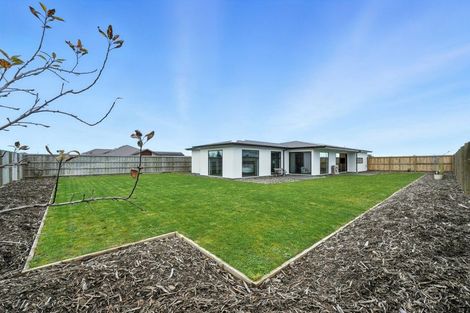 Photo of property in 29 Plover Avenue, Amberley, 7410