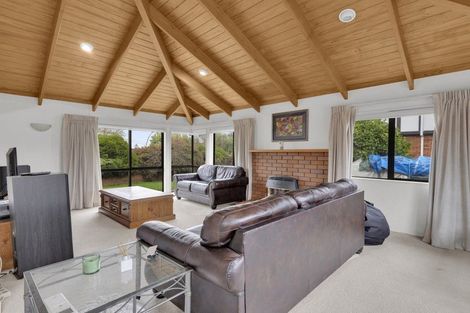 Photo of property in 17 Tiffiney Place, Chartwell, Hamilton, 3210