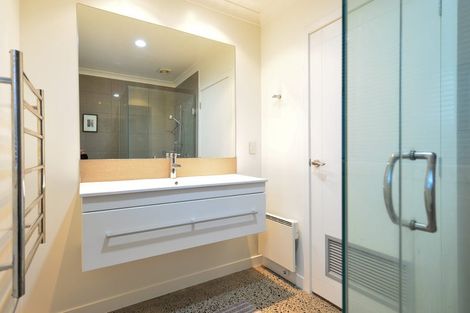 Photo of property in 21a Darley Street, Maeroa, Hamilton, 3200