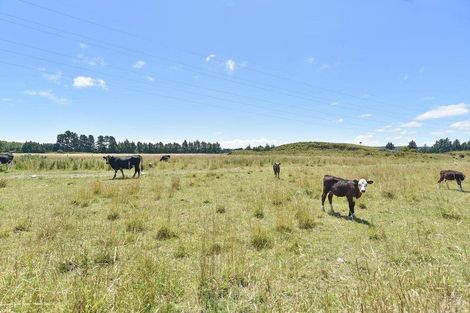 Photo of property in 8 Helmore Street, Rangiora, 7400