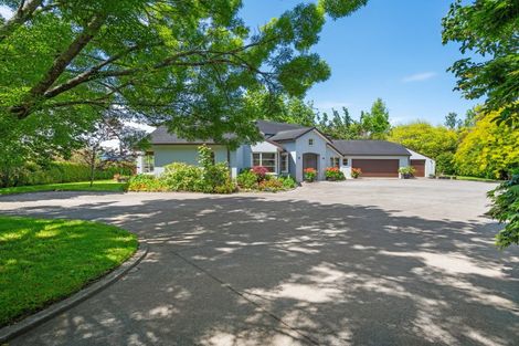 Photo of property in 8 Oakridge Place, Tauriko, Tauranga, 3110