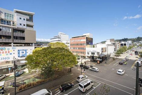 Photo of property in Vsp South, 306/168u Victoria Street, Te Aro, Wellington, 6011