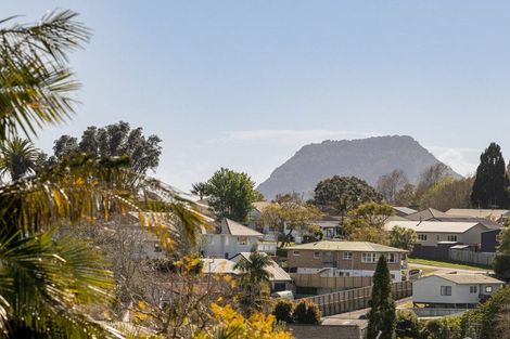 Photo of property in 22a Winchester Terrace, Bethlehem, Tauranga, 3110