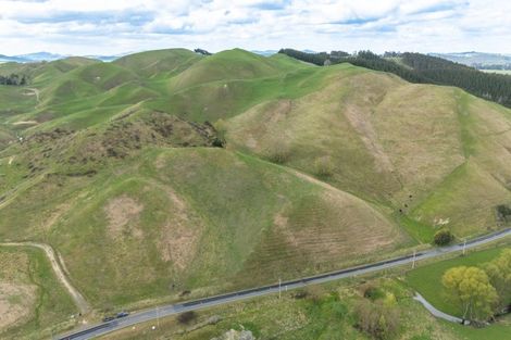 Photo of property in 209 Pourerere Road, Waipawa, 4271