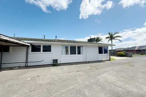 Photo of property in 23 Tua Place, Favona, Auckland, 2024