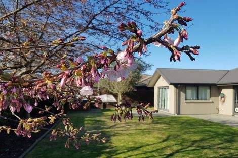 Photo of property in 21 Hulme Lane, Rolleston, 7614