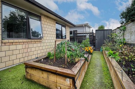 Photo of property in 62b Pohutu Street, Whakatane, 3120