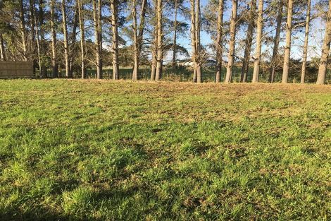 Photo of property in 16b Rayner Lane, Marton, 4710