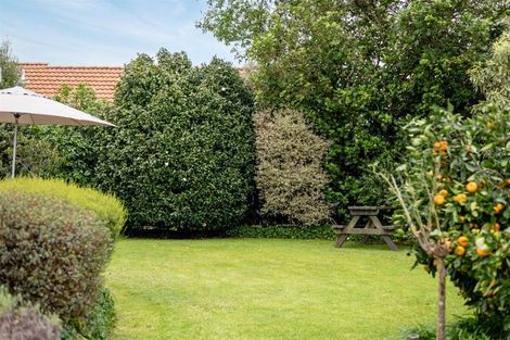 Photo of property in 46a Macfarlane Street, Hamilton East, Hamilton, 3216