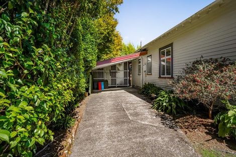 Photo of property in 25 Portia Street, Stratford, 4332