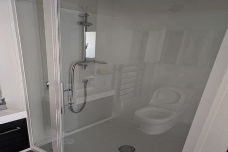 Photo of property in 225 Aro Street, Aro Valley, Wellington, 6021