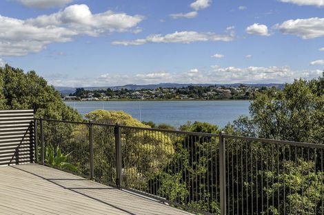 Photo of property in 17 Williams Street, Tauranga, 3110