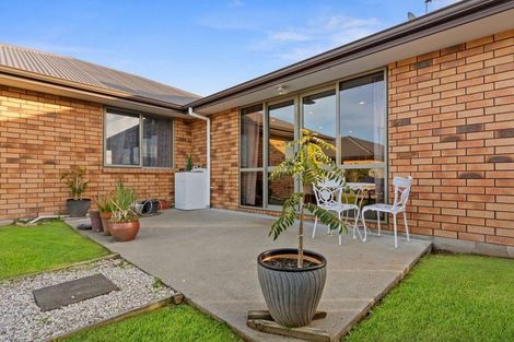 Photo of property in 24 Finchley Place, Hamilton East, Hamilton, 3216