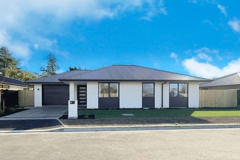 Photo of property in 12 Kay Way, Rakaia, 7710