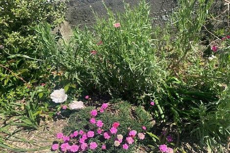 Photo of property in 77 Todman Street, Brooklyn, Wellington, 6021