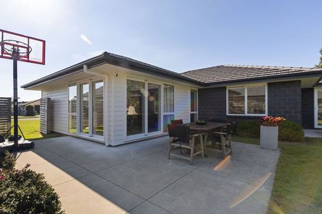 Photo of property in 29 Monarch Drive, Ashhurst, 4810