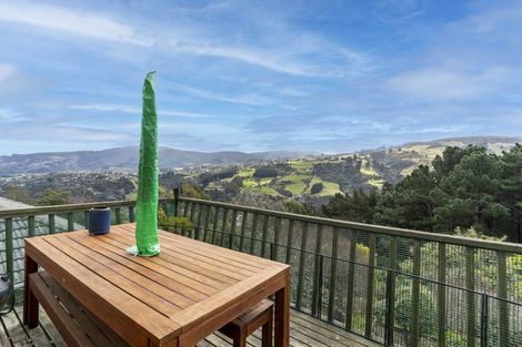 Photo of property in 205 Signal Hill Road, Opoho, Dunedin, 9010