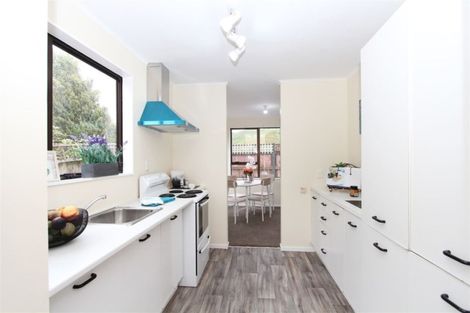 Photo of property in 297 Mitchell Street, Brooklyn, Wellington, 6021