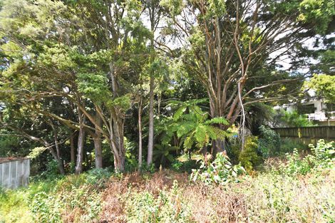 Photo of property in 1/51 Hill Street, Warkworth, 0910