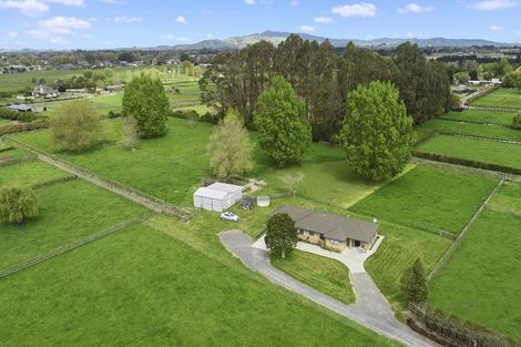 Photo of property in 54 Peake Road, Cambridge, Hamilton, 3283