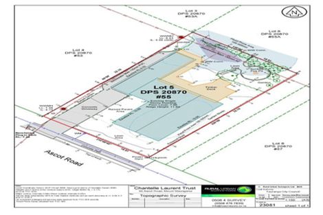 Photo of property in 55 Ascot Road, Mount Maunganui, 3116