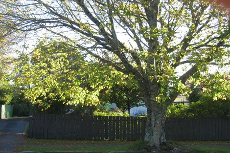 Photo of property in 132 Elizabeth Drive, Tokoroa, 3420