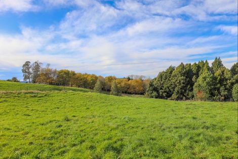 Photo of property in 47 Otapouri Road, Owhango, 3989