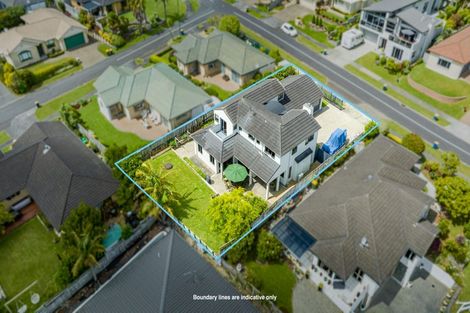 Photo of property in 19 Highfields Terrace, Henderson, Auckland, 0612