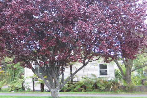 Photo of property in 9 Hinekura Avenue, Taupo, 3330
