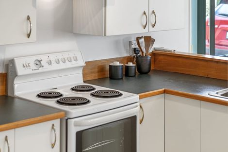 Photo of property in 45 Grosvenor Street, Cambridge, 3434