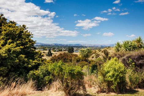 Photo of property in 92 Mount Taylor Drive, Feilding, 4775