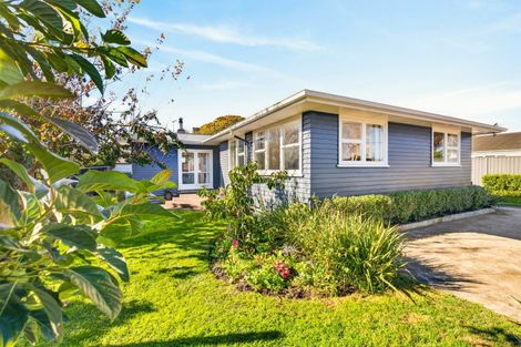 Photo of property in 43 Upham Street, Havelock North, 4130