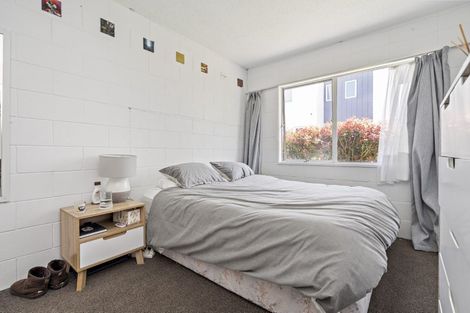 Photo of property in 45 York Street, Hamilton East, Hamilton, 3216