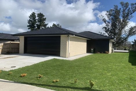 Photo of property in 16 Oldfield Lane, Marton, 4710