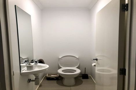 Photo of property in 16 Shelduck Way, Hobsonville, Auckland, 0616