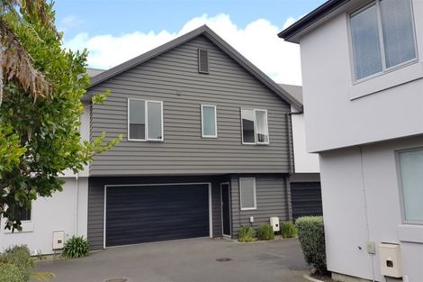 Photo of property in 6u9 Page Place, Hamilton East, Hamilton, 3216