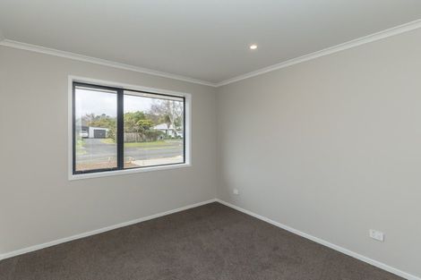 Photo of property in 93 Fairfield Road, Levin, 5510