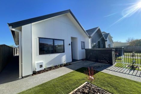 Photo of property in 10 Mathieson Street, Waverley, Dunedin, 9013