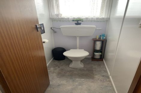 Photo of property in 19 Moloney Terrace, Pukekohe, 2120