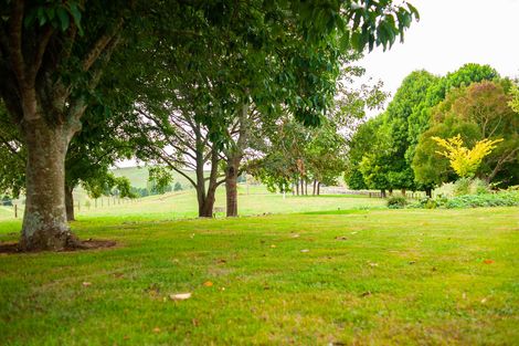 Photo of property in 598 Mangaorongo Road, Otorohanga, 3972