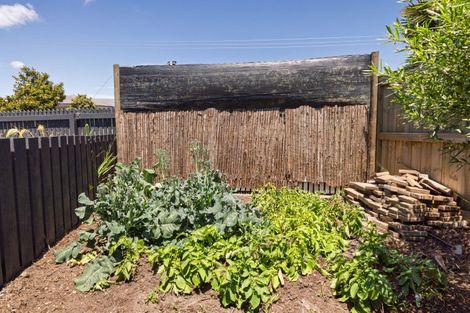 Photo of property in 19 Macloughlin Drive, Te Puke, 3119