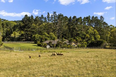 Photo of property in 8b Willow Lane, Stillwater, Silverdale, 0993