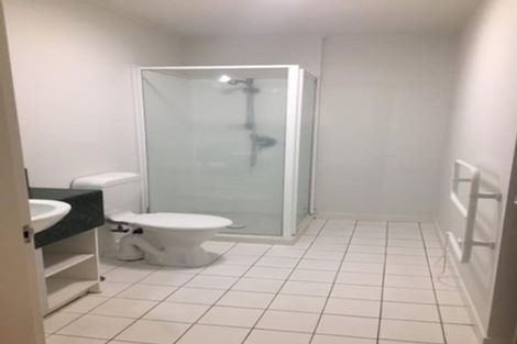 Photo of property in Dixonlane Apartments, 8/7 Feltex Lane, Te Aro, Wellington, 6011
