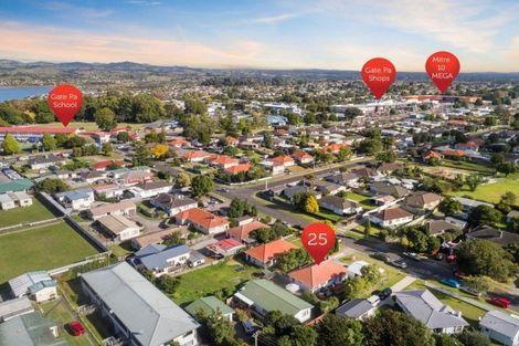 Photo of property in 25 Twentyfirst Avenue, Gate Pa, Tauranga, 3112