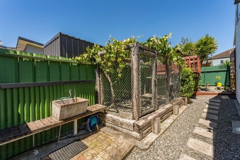 Photo of property in 18b Richan Street, Glenview, Hamilton, 3206