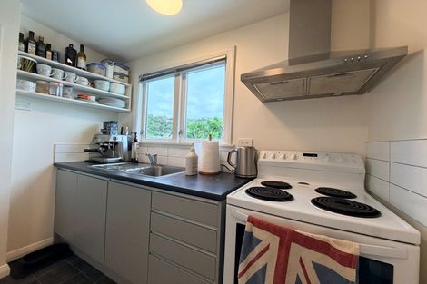 Photo of property in 8 Alameda Terrace, Aro Valley, Wellington, 6021
